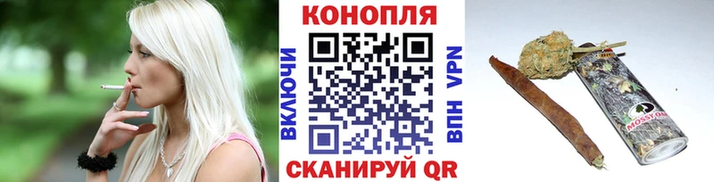 Канабис сатива  Власиха 